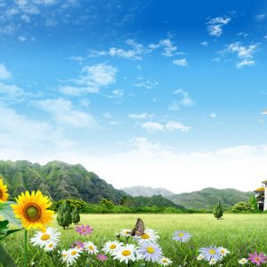 九星別 2019年7月六白金星の運勢