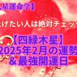 【四緑木星】２０２５年２月の運勢＆最強開運日《干支九星運命学》