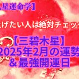 【三碧木星】２０２５年２月の運勢＆最強開運日《干支九星運命学》