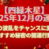 【四緑木星】 2025年12月の運勢 年末の波乱をチャンスに変える「12月の秘密」