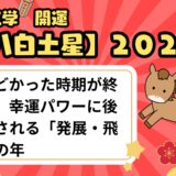 【八白土星】2026年の運勢 力強い勢いに後押しされる「発展・飛躍」の年