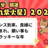 【九紫火星】2026年の運勢 チャンス到来、良縁にも恵まれ、願い事も叶うラッキーな年