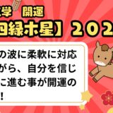 【四緑木星】2026年の運勢 変化の波に揺れながらも、しなやかに「自分の軸」を守る一年