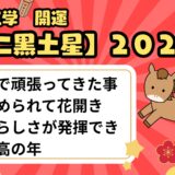 【二黒土星】2026年の運勢 努力が花開き“自分らしさが発揮できる年”へ