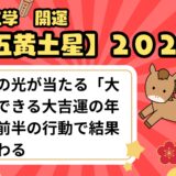 【五黄土星】2026年の運勢 強運の光が当たる「大活躍できる年」